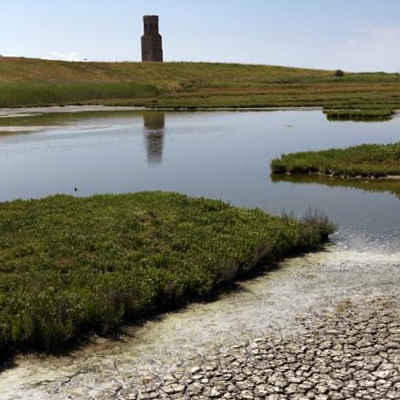 images/puijenhuis/activiteiten/WandelenZeeland.jpg